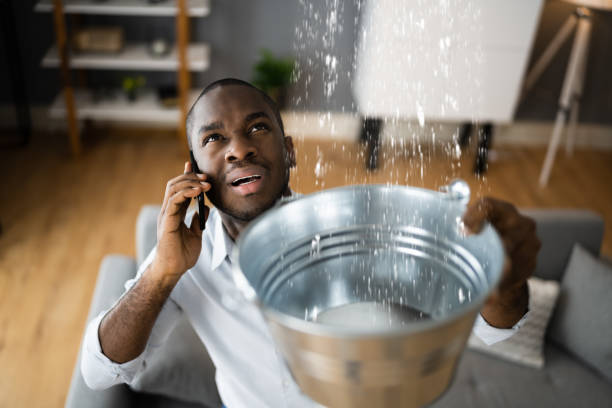 Best Flood damage cleanup  in Pleasant Hills, OH