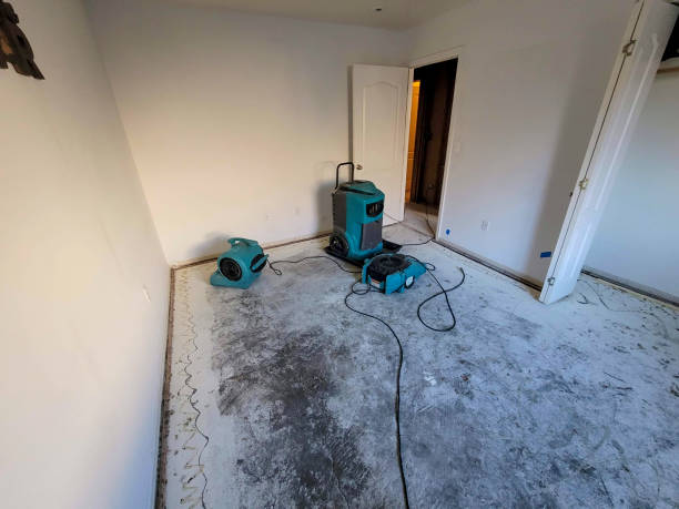 Best Flood damage cleanup  in Pleasant Hills, OH