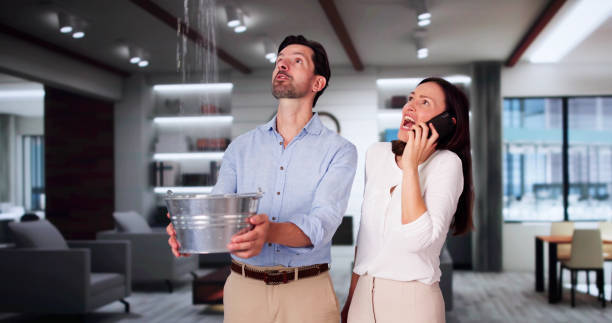 Best 24/7 water damage repair  in Pleasant Hills, OH
