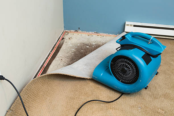 Best Flood damage cleanup  in Pleasant Hills, OH